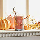 Alternate image 3 for Yankee Candle&reg; Spiced Pumpkin 20 oz. Large Tumbler Candle