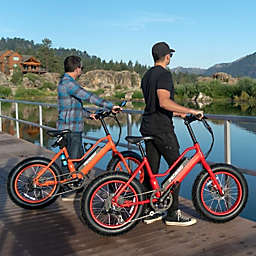 All-Day Electric Bike Rental for Two by Spur Experiences®