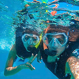 Dolphin Watch and Snorkel Tour in Key West, FL by Spur Experiences®