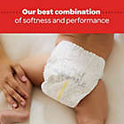 Alternate image 4 for Huggies&reg; Special Delivery&trade; Disposable Diapers Collection