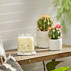 Alternate image 1 for Yankee Candle&reg; Iced Berry Lemonade Signature Collection Candle Collection