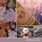 Alternate image 2 for Yankee Candle&reg; Dried Lavender &amp; Oak​ Signature Collection Candle Collection