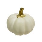 Alternate image 1 for H for Happy&trade; 3.5-Inch Mini Harvest Pumpkin Decoration