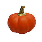 Alternate image 2 for H for Happy&trade; 3.5-Inch Mini Harvest Pumpkin Decoration