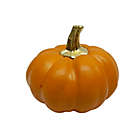 Alternate image 3 for H for Happy&trade; 3.5-Inch Mini Harvest Pumpkin Decoration