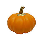 Alternate image 4 for H for Happy&trade; 3.5-Inch Mini Harvest Pumpkin Decoration