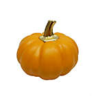 Alternate image 6 for H for Happy&trade; 3.5-Inch Mini Harvest Pumpkin Decoration
