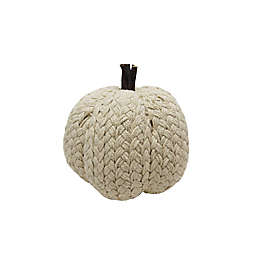 Bee & Willow™ Large Knit Pumpkin Figurine Fall Decoration in Cream
