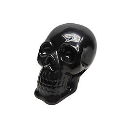 Studio 3B™ Large Skull in Black
