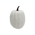 Alternate image 5 for H for Happy&trade; Bagged Halloween Pumpkins (Set of 8)