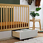 Alternate image 8 for Babyletto Bento 3-in-1 Convertible Storage Crib in White/Natural