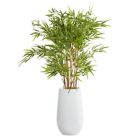 Alternate image 0 for Ridge Road Decor 53.5-Inch Faux Bamboo Plant with White Fiberglass Planter