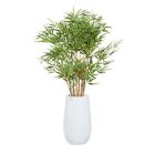 Alternate image 7 for Ridge Road Decor 53.5-Inch Faux Bamboo Plant with White Fiberglass Planter