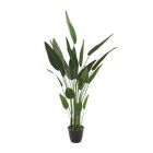 Alternate image 0 for Ridge Road Decor 61-Inch Artificial Banana Leaf Plant with Black Ribbed Planter