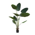 Alternate image 8 for Ridge Road Decor 69.5-Inch Strelitziaceae Tree with Black Nursery Planter