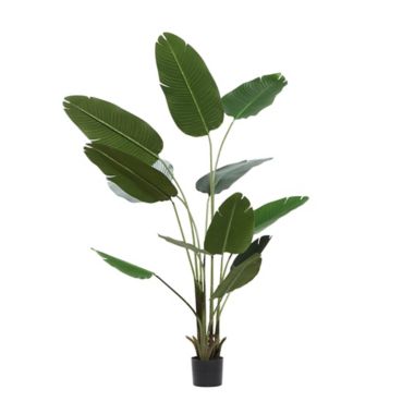 Ridge Road Decor 69.5-Inch Strelitziaceae Tree with Black Nursery Planter. View a larger version of this product image.