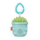 Alternate image 0 for Fisher-Price&reg; Soothe &amp; Go Succulent Portable Sound Machine