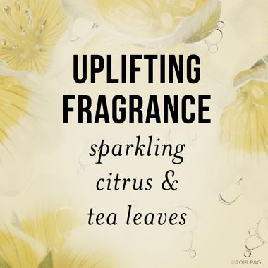 Pantene Nutrient Blends 9.6 oz. Strengthening Damage Repair Shampoo with Castor Oil. View a larger version of this product image.