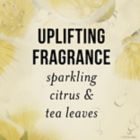 Alternate image 2 for Pantene Nutrient Blends 8 oz. Strengthening Damage Repair Conditioner