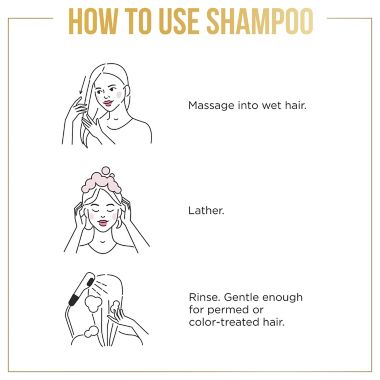 Pantene Pro-V 12 oz. Classic Clean Shampoo. View a larger version of this product image.