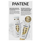 Alternate image 1 for Pantene Pro-V Daily Moisture Renewal 12 oz. Shampoo + 10.4 oz. Conditioner Dual Pack