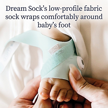 Owlet&reg; Dream Duo in Mint. View a larger version of this product image.