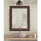Alternate image 1 for Hitchcock-Butterfield Cabin Trunk Wall Mirror in Brown
