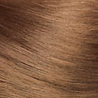 Alternate image 1 for Revlon&reg; ColorSilk Beautiful Color&trade; Hair Color in 54 Light Golden Brown