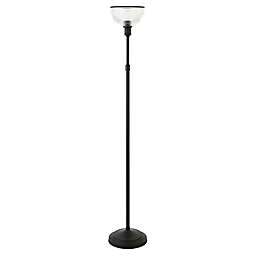 Hudson&Canal® Francis Floor Lamp in Black/Bronze