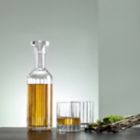 Alternate image 1 for Luigi Bormioli Bach Spirits Decanter