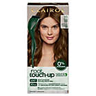 Alternate image 0 for Clairol Root Temp&reg; Root Touch Up by Natural Instincts Permanent Color in Golden Brown 5G