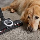 Alternate image 7 for Miele&reg; Boost CX1 Cat &amp; Dog Powerline Bagless Canister Vacuum in Black