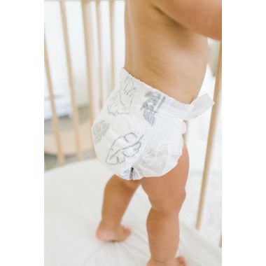 Parasol Clear+Dry&trade; Size 1 80-Count Natural Disposable Diapers. View a larger version of this product image.