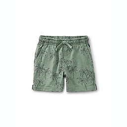 Tea Collection Size 2T Palms Knit Shorts in Green