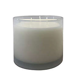 Everhome™ Amber Musk 14 oz. Large Boxed Jar Candle in Taupe