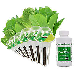 Miracle-Gro® AeroGarden™ Romaine Lettuce Seeds 6-Pod Kit