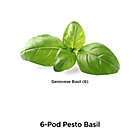 Alternate image 1 for Miracle-Gro&reg; AeroGarden&trade; Pesto Basil Seeds 6-Pod Kit