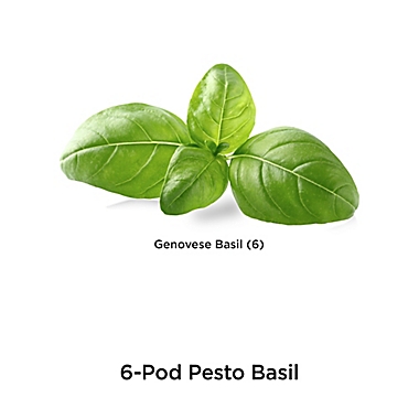 Miracle-Gro&reg; AeroGarden&trade; Pesto Basil Seeds 6-Pod Kit. View a larger version of this product image.