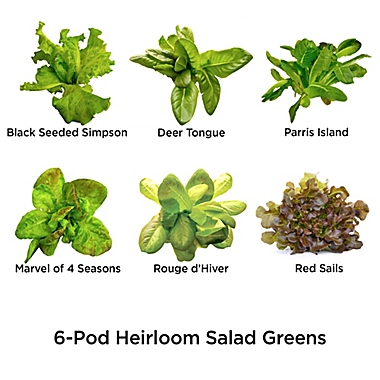 Miracle-Gro&reg; AeroGarden&trade; Heirloom Lettuce Seeds 6-Pod Kit. View a larger version of this product image.