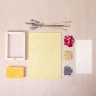 Alternate image 1 for Kikkerland&reg; 5-Piece Flower Paper Kit