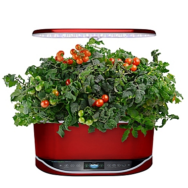 Miracle-Gro&reg; AeroGarden&trade; Heirloom Cherry Tomato Seeds 9-Pod Kit. View a larger version of this product image.