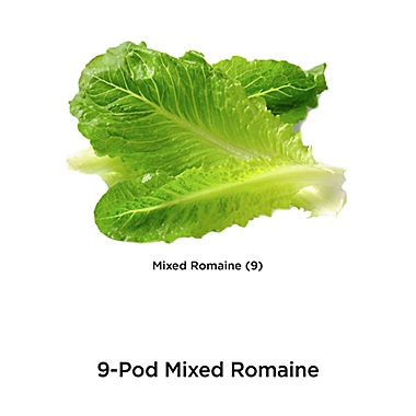 Miracle-Gro&reg; AeroGarden&trade; Romaine Lettuce Seeds 9-Pod Kit. View a larger version of this product image.