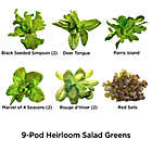 Alternate image 1 for Miracle-Gro&reg; AeroGarden&trade; Heirloom Salad Greens Seeds 9-Pod Kit