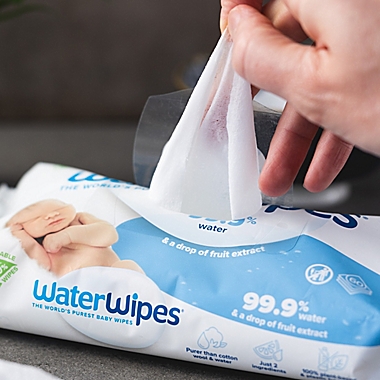 WaterWipes&reg; Biodegradable 60-Count Baby Wipes. View a larger version of this product image.