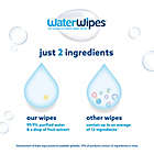 Alternate image 11 for WaterWipes&reg; Biodegradable 540-Count Baby Wipes