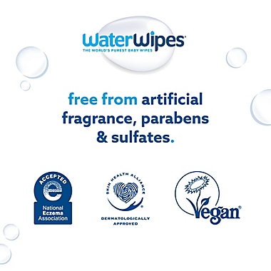 WaterWipes&reg; 240-Count Baby Wipes. View a larger version of this product image.
