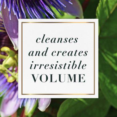 Herbal Essences 13.5 fl. oz. Passion Flower and Grapefruit Volume Shampoo. View a larger version of this product image.