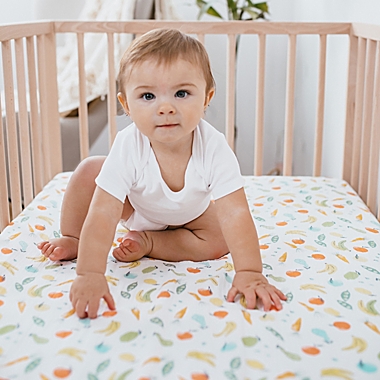 aden + anais&reg; essentials Farm to Table Fitted Crib Sheet in Grey. View a larger version of this product image.