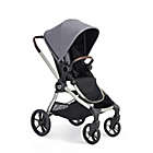 Alternate image 0 for Baby Jogger&reg; City Sights&reg; Single Stroller in Dark Slate