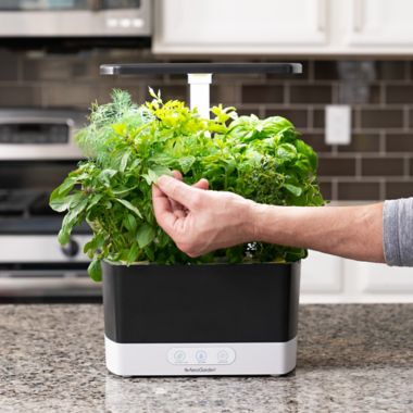 AeroGarden&trade; Harvest with Gourmet Herb Seed AeroGarden Pods Kit. View a larger version of this product image.